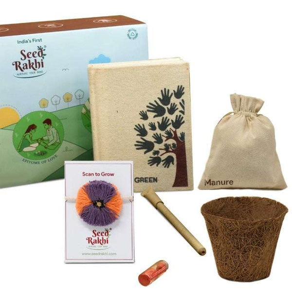 Jodhpuri Seed Rakhi Planter and Notepad Gift Hamper