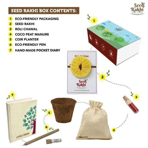 Sun Seed Rakhi Planter and Notepad Gift Hamper