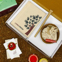 Madhu Seed Rakhi, Planter and Notepad Gift Hamper