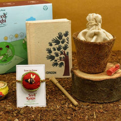 Madhu Seed Rakhi, Planter and Notepad Gift Hamper