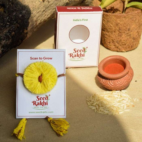 Sun Seed Rakhi Gift Hamper (Seed: Amaltash)