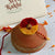 seed rakhi for brother