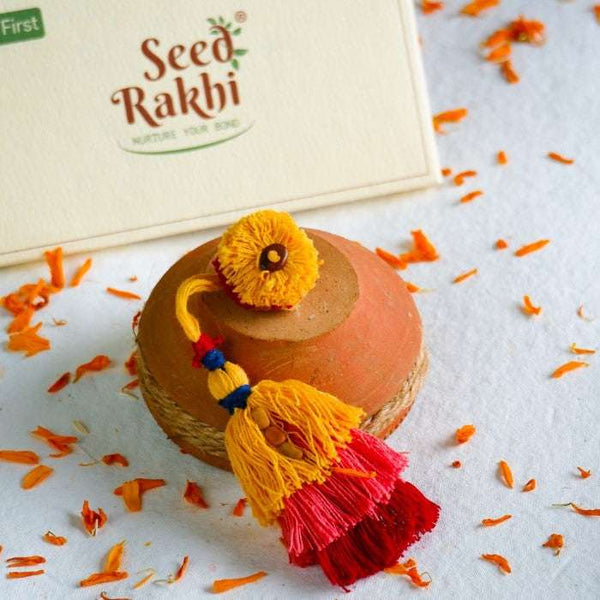 Sanyog and Saanjh Eco-friendly Seed Rakhi With Kaju Katli Mini Bites 125 gm