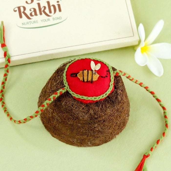 Madhu Seed Rakhi, Planter and Notepad Gift Hamper