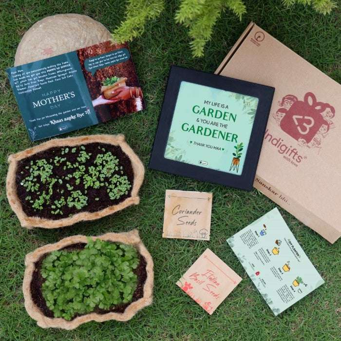 Mummy Ka Organic Garden Kit - Best Gardening Kit for Moms